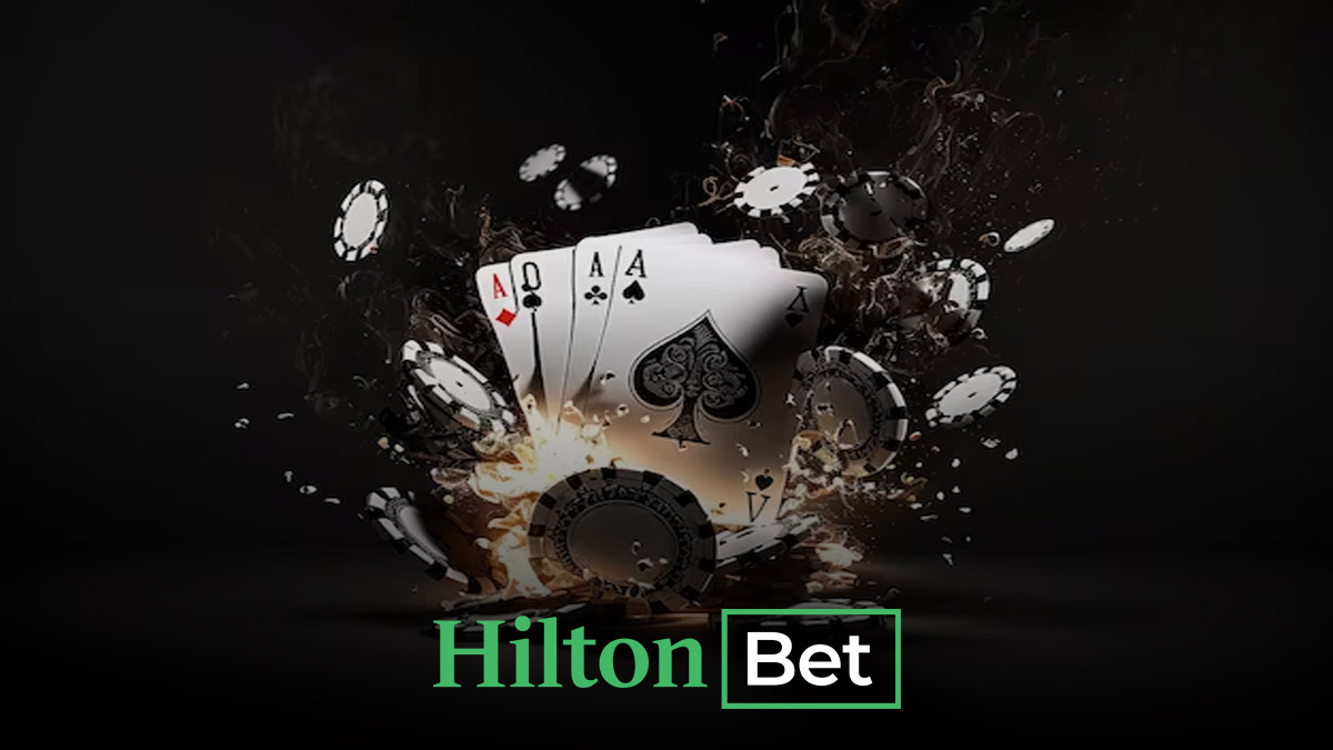 Hiltonbet Gizlilik Politikası 
