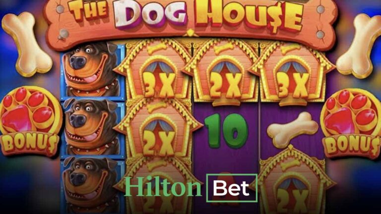 Hiltonbet en çok tercih edilenler