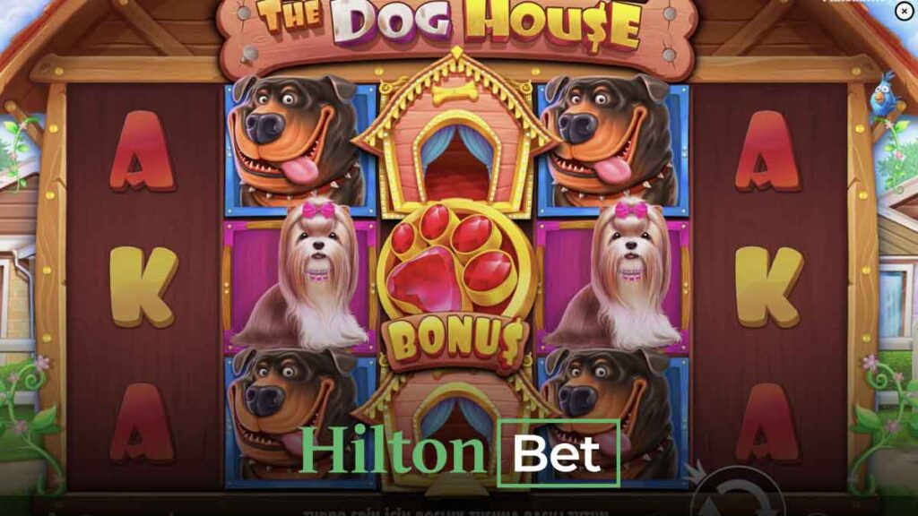 Hiltonbet basit slot oyunları