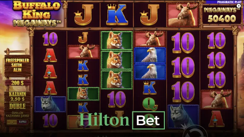 Hiltonbet buffalo king oyunu